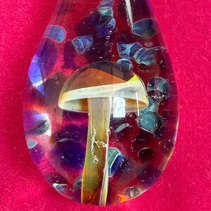 Handmade Blown Glass Raindrop with a Mushroom inside on Adjustable cord Necklace